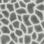 AFRICAN QUEEN 422849