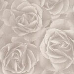 CRISPY PAPER 525601