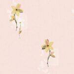 GNI B.O.S VOL.2 59247-2