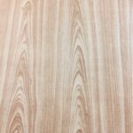SPECIAL EFFECT 96-3330