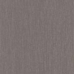 SHINY CHIC 599701