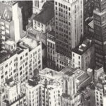 SELECTION 10037-1