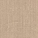 CONNOISSEUR - CN1146
