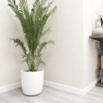DECORTEX DE120031 - Image 2