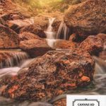 DIGITAL PRINT CANVAS HD