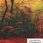 DIGITAL PRINT ECO SMOOTH