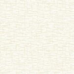 EMPIRE 31005-1