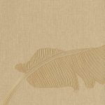 ALTAGAMMA EVOLUTION / AB ILLUSION 14907