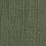 ALTAGAMMA EVOLUTION / AB ILLUSION 14994