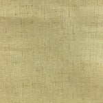 GRAND CANYON 56461 COL: 249