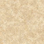 GNI RAUM 81166-3