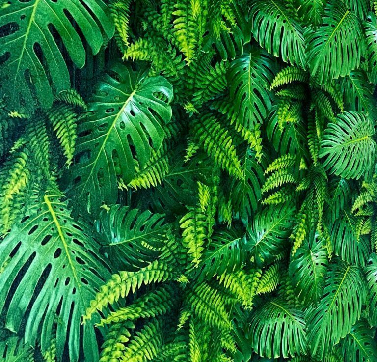 HERA VOL.5 6044-1 - Image 3