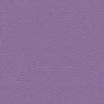 KIDS & TEENS 2016 / PLAISIR 2016 - 740301