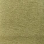 AVILA LOGAN COL : BONE