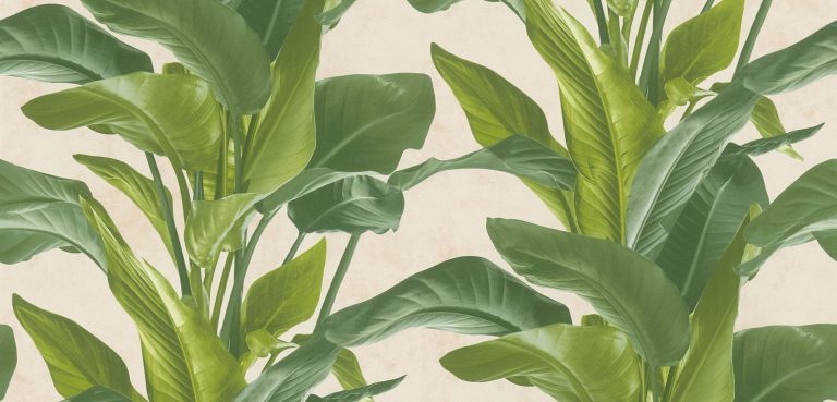 METROPOLITAN STORIES II (V1) 37862-3 - Image 2