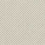 PLAIN THE COLOR 403-3