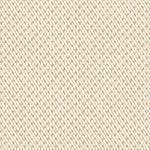 PLAIN THE COLOR 403-5
