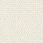 PLAIN THE COLOR 406-2