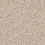 PLAIN THE COLOR 407-13