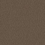 PLAIN THE COLOR 407-15