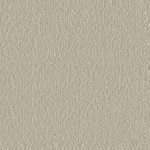 PLAIN THE COLOR 407-9