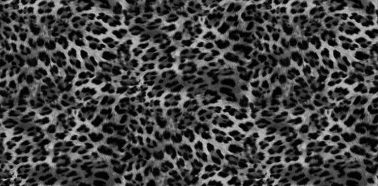 POLARIS VOL.2  711-1 - Image 2