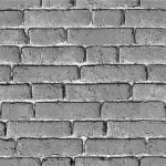 ROCK DV1441