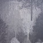 SIGNATURE EUROPE 6786-10 - Image 5