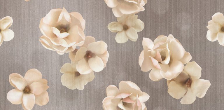 SUPERIOR 10068-5 - Image 2