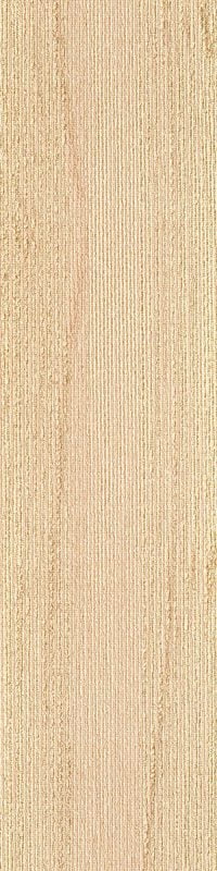 SDCP06 COPPICE SAND - Image 2