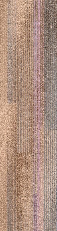 SDLM06-A LUMINO PURPLE - Image 2