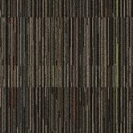 E648 Nectes - Image 3