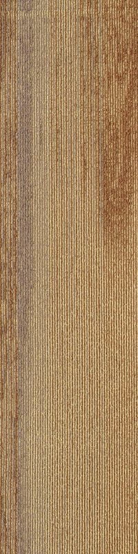 SDCP02 COPPICE GOLD - Image 2