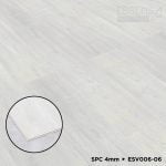 ESV006-06 Mathis - Image 3