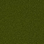 SBL 609 Bio - Image 3