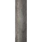 5101 Cornus - Image 6