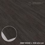 3126 Olive Ash - Image 4