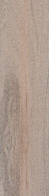 SDCP03 COPPICE BEIGE - Image 2