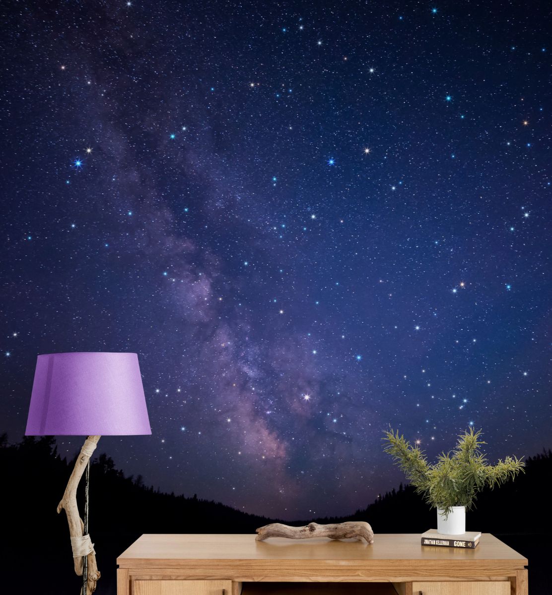 British Columbia Canada Clear Lake Milky Way Night-2382640-1