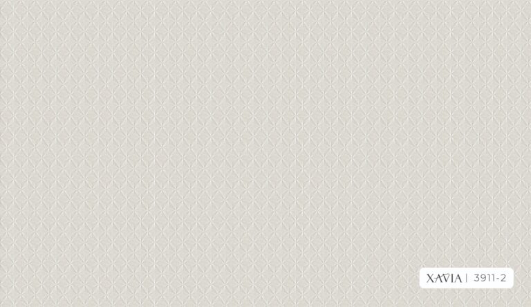 XAVIA 3911-2 - Image 2