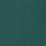 Austen Teal