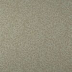 Serpentine Sandstone