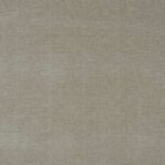 Tyne Plaster