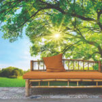 Canopy Of Positivity 8801-112