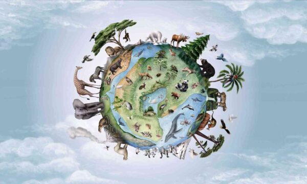 Dreamland - Animals Of Earth