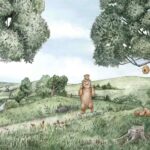 Dreamland - Bears And Bees