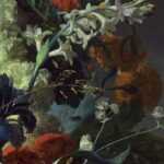 Chinorise -  Flower Night