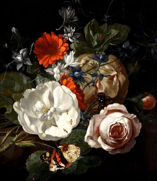 Chinorise - Flowers And Insects