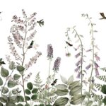 Tropical - Hummingbird Hedge