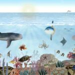 Dreamland - Ocean Lookbook